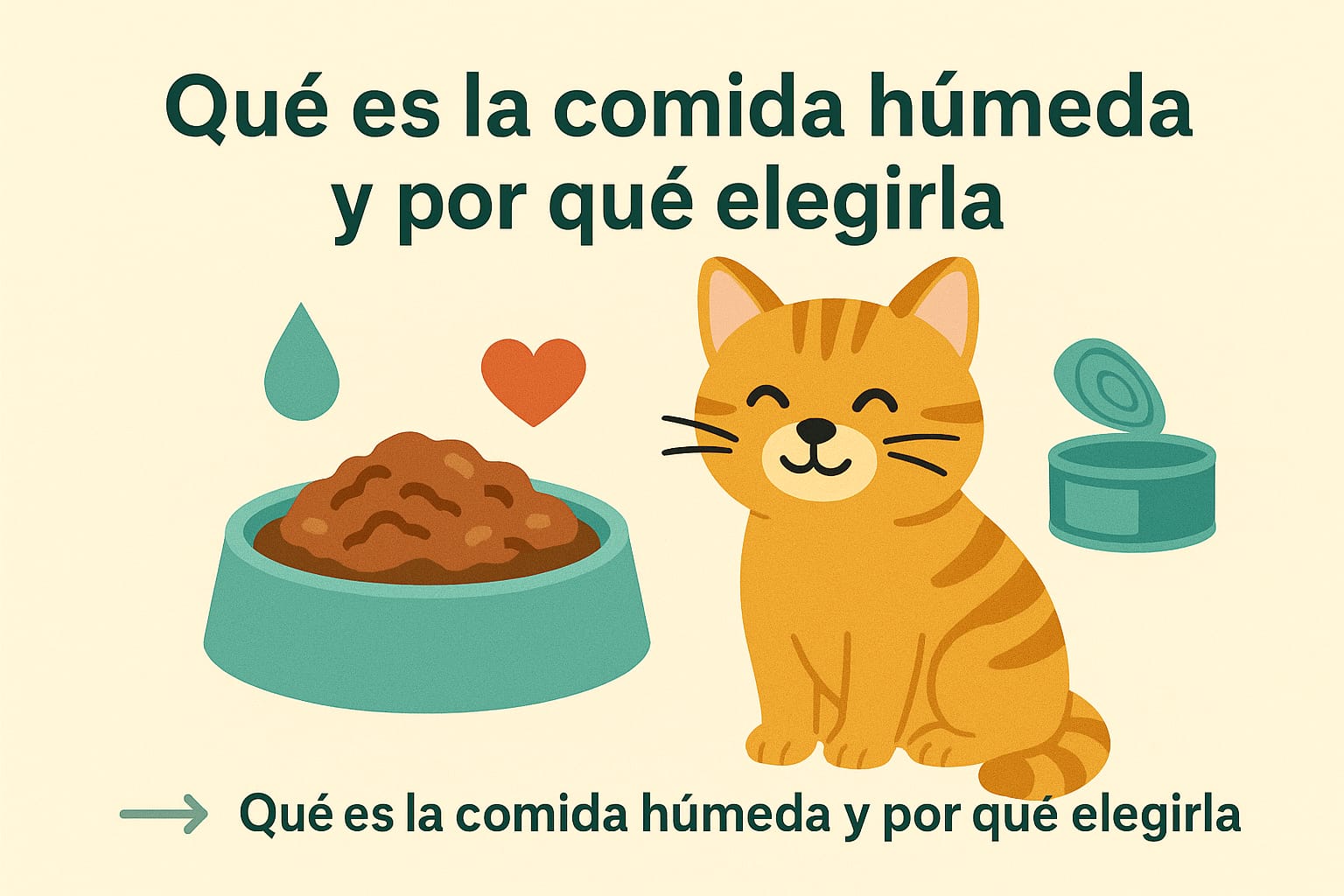 Qué es la comida húmeda y por qué elegirla